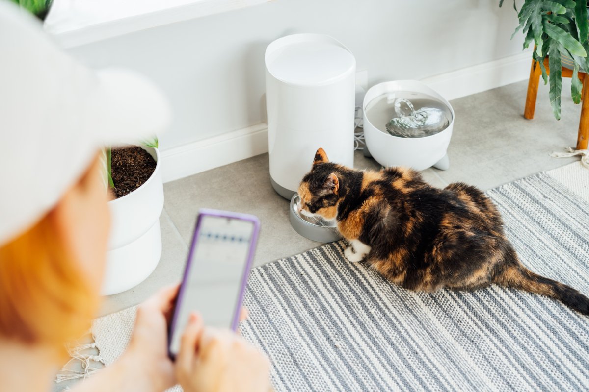 猫との暮らしが豊かになる『ペット家電』5選　あると便利な理由や使い方のポイントもご紹介