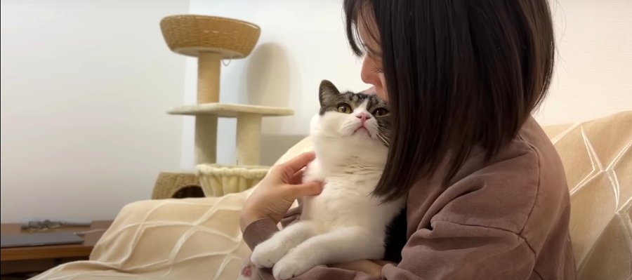 寄り添って飼い主さんを癒やす猫ちゃんたち♡