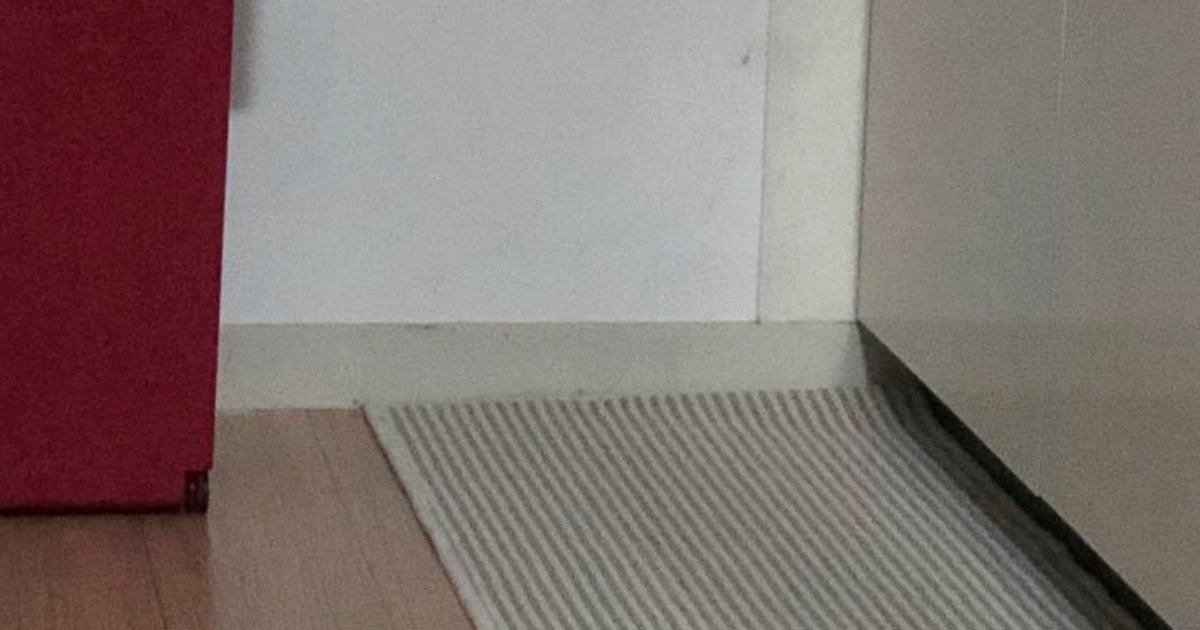 『家の中にいるはずの猫』が全然見つからない→探し続けていると…予想外すぎる場所に１万いいね「四角いのかわいいｗ」「ジャストフィットｗ」