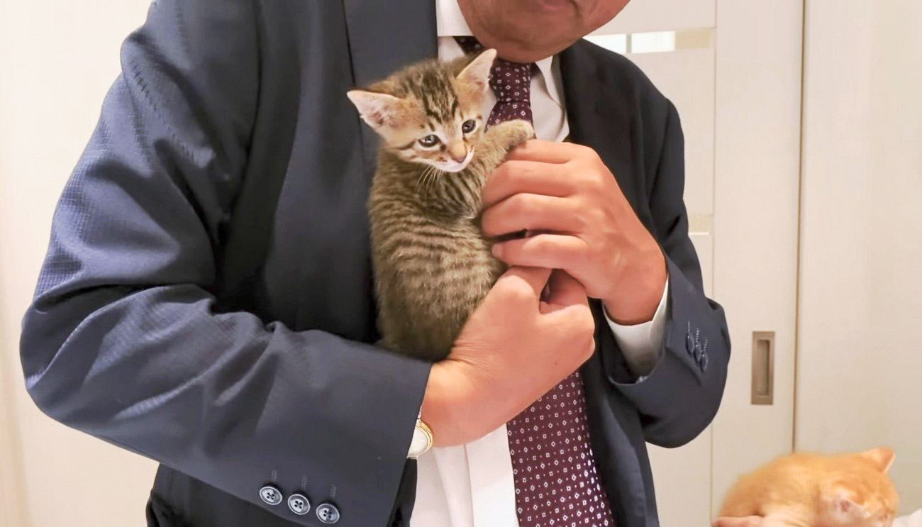 子猫たちを家族みんなで懸命に育てた1ヶ月間…『涙が出た』『なんて心温かい家族』成長の記録に感動の声続々