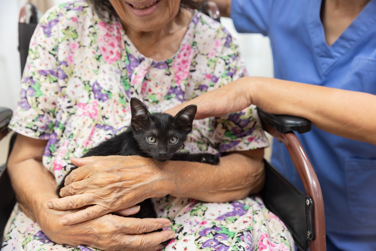 猫がしている『人助け』5選　病院、高齢者施設、学校…心の支えになってくれている猫たち