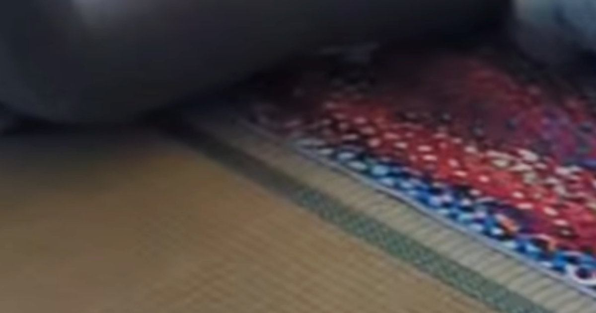 初めてのお留守番をした子猫→飼い主が帰宅すると…思わず涙が出る『尊い光景』が47万再生「偉かったねぇ」「泣けちゃうのわかる」