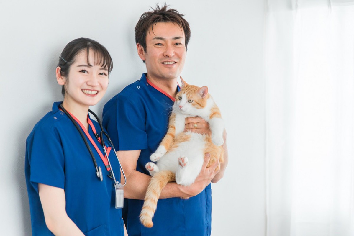 『猫ノミ』が寄生してしまう要因3つ　室内飼いでもしておくべき対策とは