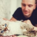 猫は自分と違う性別の人が好き？ネコに好かれる人になるには！？