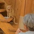 3歳の誕生日を迎えた猫に……父が用意した『贈り物』と『猫の反応』が素…