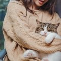 猫が「覚えやすい名前」15選　主な特徴とおすすめの名前　名付けのヒ…