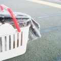 『神経質な猫』に共通しやすい4つの特徴　繊細になるワケや配慮すべきこと…