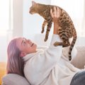 保護猫のトライアル期間でチェックしたい4つのこと