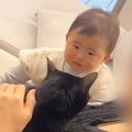 普段は仲良しな赤ちゃんと猫→パパの前では…抱っこをめぐる『仁義なきバト…