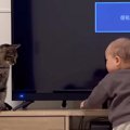 テレビの方に向かう『赤ちゃんと猫』→見守っていると…可愛すぎる『ま…