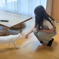 3ヶ月ぶりに帰省した娘→家にいる猫と『再会』したら…微笑ましすぎる光…