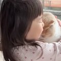 『猫への愛が止まらない』2歳の女の子がとった行動…まさかの可愛すぎ…
