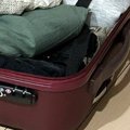 スーツケースを広げてお出かけの準備をしていたら…愛猫が見せた『可愛すぎ…