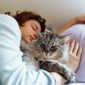 猫が飼い主の『腕の中で寝たがる』理由4つ　安心してくれている証？上手に…