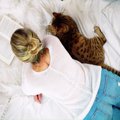 猫が『飼い主の真似』をしているように見える行動3選　意外な理由や研…