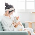 猫はどうやって『人を見分けている』？飼い主と他人を区別するために頼り…