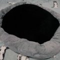 『丸くなって寝ている黒猫』を見てみたら…穴があいているようにしか見…