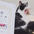 『長寿表彰状』をもらった猫…まさかの年齢に驚きが隠せないと377万表…