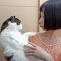 髪の毛を短くして帰ってきたら、猫が……『文句が止まらない光景』が笑える…