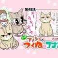 半分アメショのつくねとコナン【第48話】「仔猫のようで…」