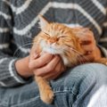 猫が一緒にいて『安心できる人』とは？４つの特徴