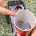 スマホの上に『おやつ』を設置→猫のことを『ドアップ』で撮ろうとした結果…