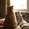 猫は背中で語る…飼い主に後ろ姿を見せる理由がぐっとくる♡