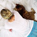 猫に「モテモテ」になるための秘策4選　愛される人たちに共通する特徴…