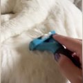 ブラッシング中、リラックスしていた猫→『お腹にブラシが触れた』次の…