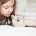 愛猫から目を離してはいけない６つのタイミング