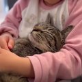 『なぜこの猫さんを選んだの？』と５歳の娘に聞いてみたら…『感動の答え』…