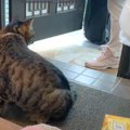 猫と犬が『２日振り』に飼い主と会った結果…熱烈な"お出迎え&quo…