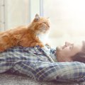 警戒していた保護猫がなついてくれた時の11のサイン