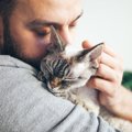 猫と飼い主が『共依存』状態になったらどうなるの？3つのリスクと改善方法