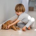 「一緒にがんばるニャン！」　発達障害のある子どもが「飼い猫」を訓練す…