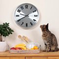 猫の『食性』に関する4つの知っておくべき話　理想の食事、温度や味の…
