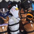 『猫がいなくなった』と大騒ぎしていた母→家族総出で探し始めて3時間…まさ…