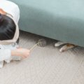 猫が『心を閉ざしてしまう』原因となる3つのこと　再び心を許してもら…