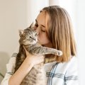 猫はお風呂に入らないのに、なぜ『いい匂いがする』？猫がクサくなら…