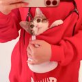 甘えん坊すぎる子猫をパーカーに入れてみた結果…母性本能を刺激されま…