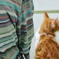 祖母のとなりに座り込んで『法事に参加する猫』→５分後……『全然違う様子』…