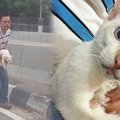 高速道路でうずくまる猫……大家族の一員になり幸せに！