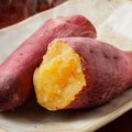 秋の味覚『さつまいも』猫が食べても大丈夫？得られる栄養素や与える…