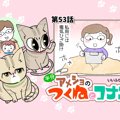 半分アメショのつくねとコナン【第53話】 「どっちもー」