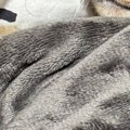飼い主の上で寝始めた猫→顔を見ると…『幸せいっぱいの寝姿』に3万いい…