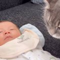 娘の息抜きのために赤ちゃんを一日預かったら、『家にいた猫』が…泣けるほ…