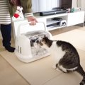 病院から帰ってきた弟猫→『兄との再会』で……思わぬ行動が微笑ましすぎると…