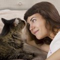 腕枕で猫が一緒に寝たがる４つの理由