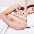 猫が腕で眠るのはなぜ？4つの意味