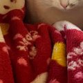 高熱を出して、ベッドで休んでいたら…猫たちがとった行動にほっこりする人…